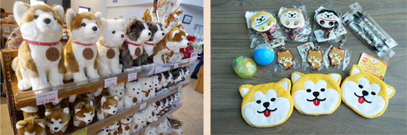 Các sản phẩm khác